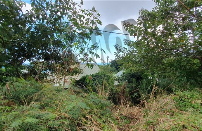 Vente Terrain 927m&sup2; Piton Saint Leu