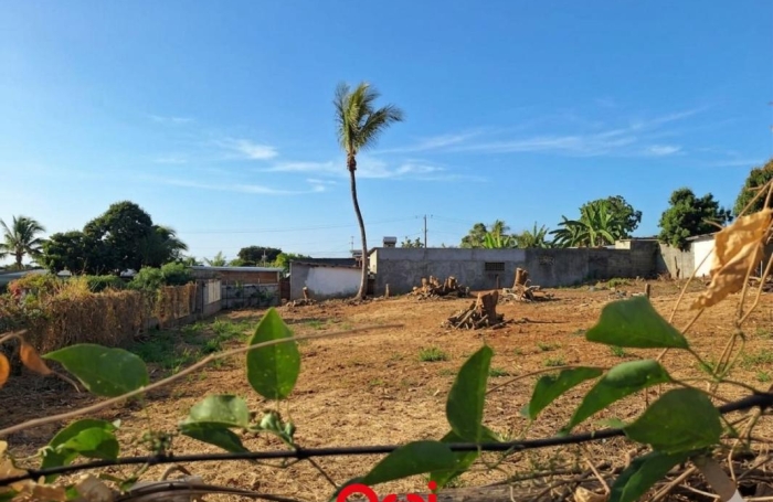 Vente Terrain 97435