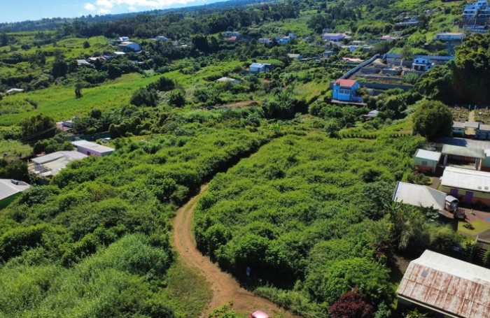Vente Terrain 4547m&sup2; La Saline les Hauts