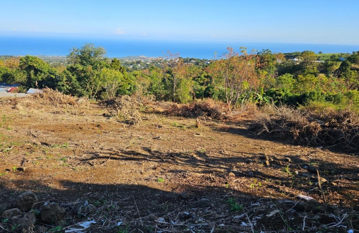 Vente Terrain 97435