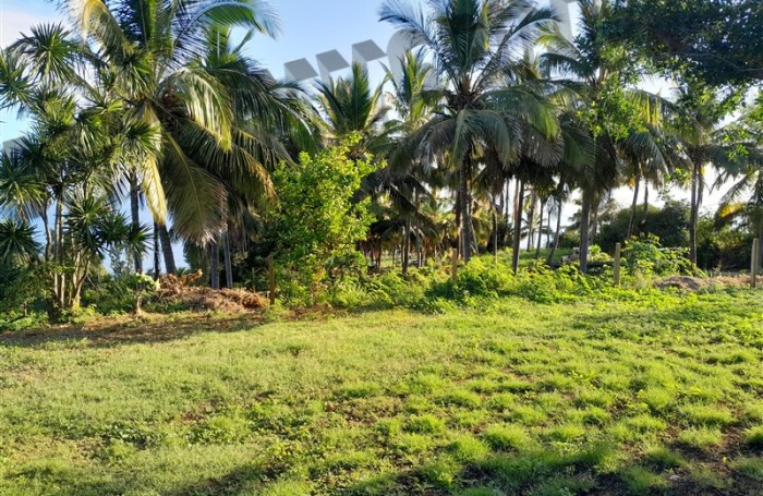 Location Maison 86m&sup2; 4 pi&egrave;ces Piton Saint Leu