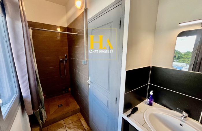 Vente Immeuble 193.21m&sup2; 7 pi&egrave;ces Rivi&egrave;re Saint Louis