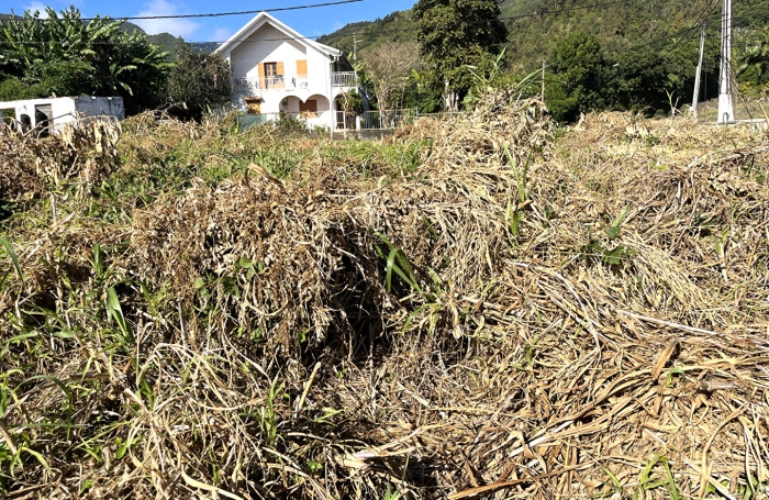 Vente Terrain 732m&sup2; Sainte Clotilde