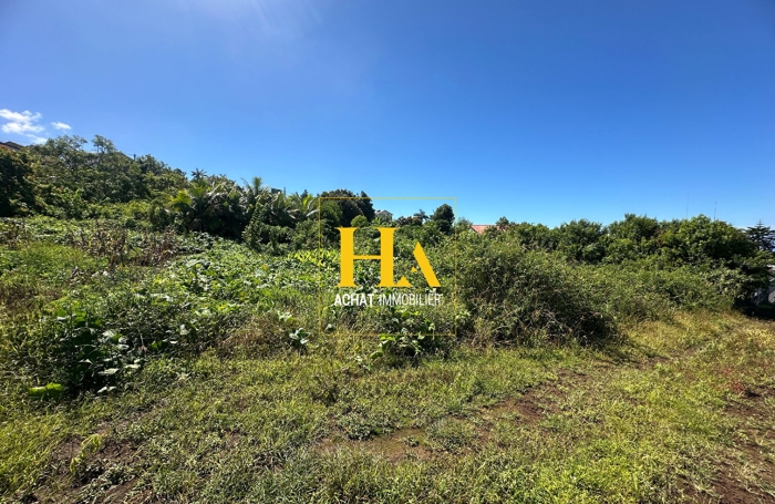 Vente Terrain 658m&sup2; Petite &icirc;le
