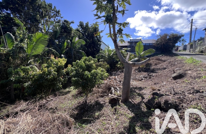 Vente Terrain 1230m&sup2; Le Tampon