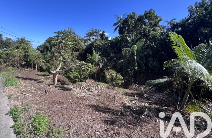 Vente Terrain 1230m&sup2; Le Tampon