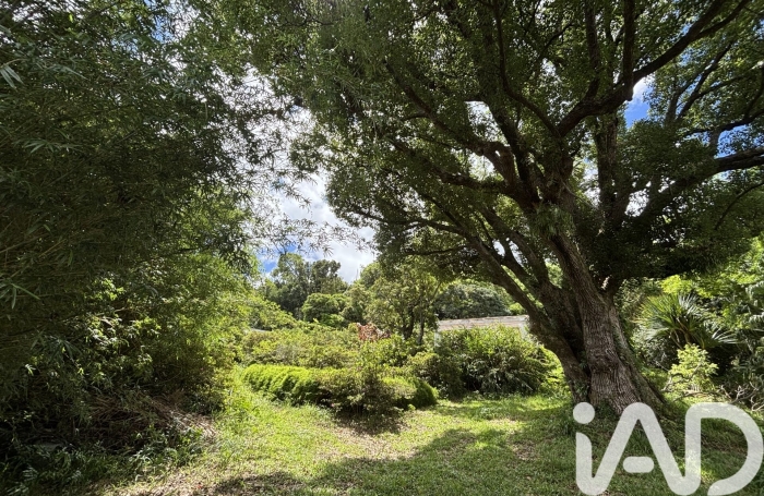 Vente Terrain 97400