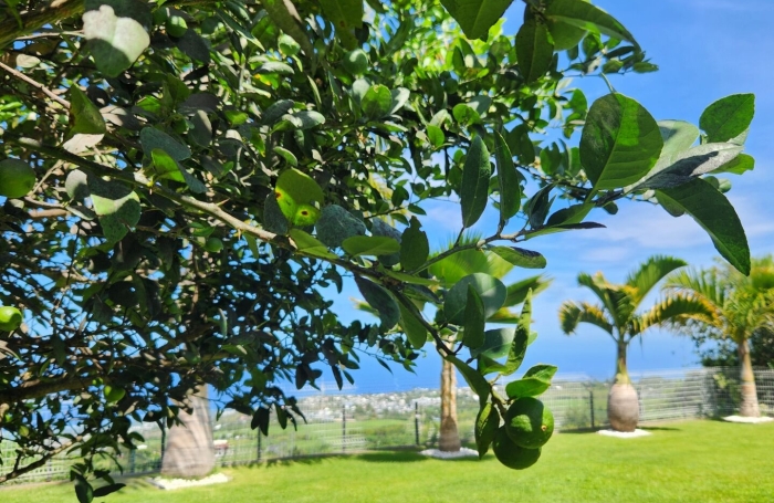 Vente Maison 161m&sup2; 6 pièces La Saline les Hauts