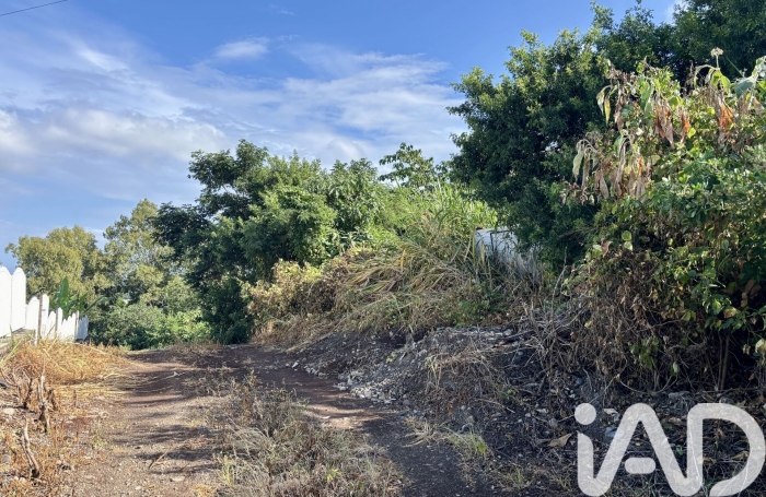 Vente Terrain 1831m&sup2; Piton Saint Leu