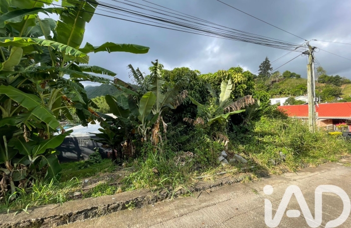 Vente Terrain 97414