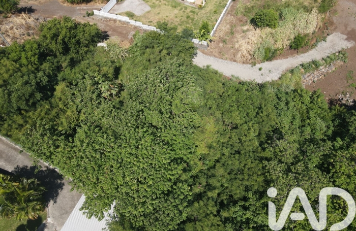 Vente Terrain 2138m&sup2; Piton Saint Leu