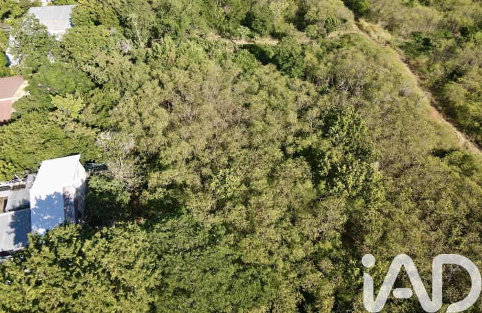 Vente Terrain 1645m&sup2; Saint-Leu