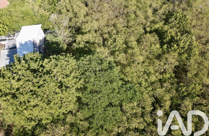 Vente Terrain 1725m&sup2; Saint-Leu
