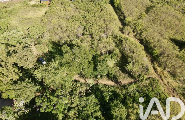 Vente Terrain 1725m&sup2; Saint-Leu