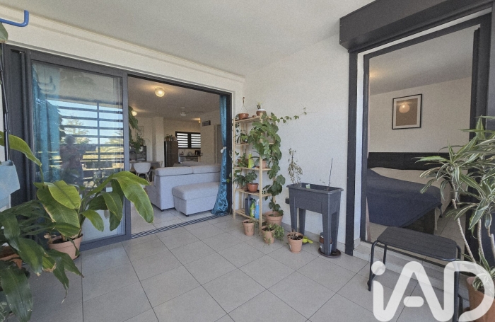 Vente Appartement 49m&sup2; 2 pièces Saint-Pierre