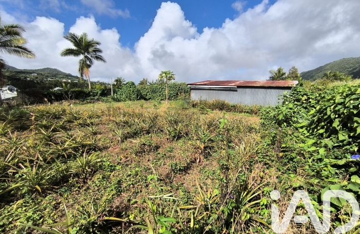 Vente Terrain 545m&sup2; Rivi&egrave;re Saint Louis