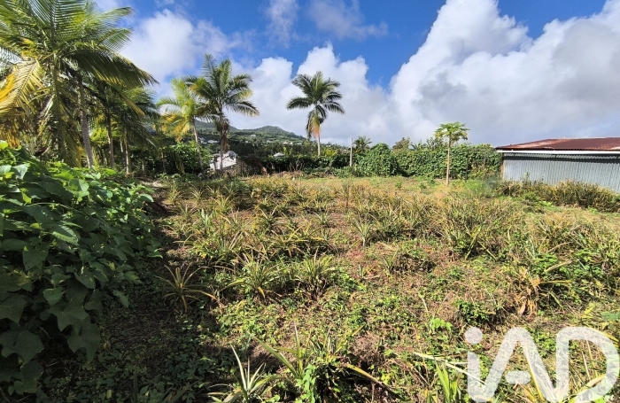 Vente Terrain 545m&sup2; Rivi&egrave;re Saint Louis