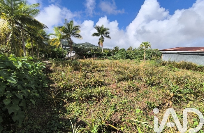 Vente Terrain 545m&sup2; Rivi&egrave;re Saint Louis