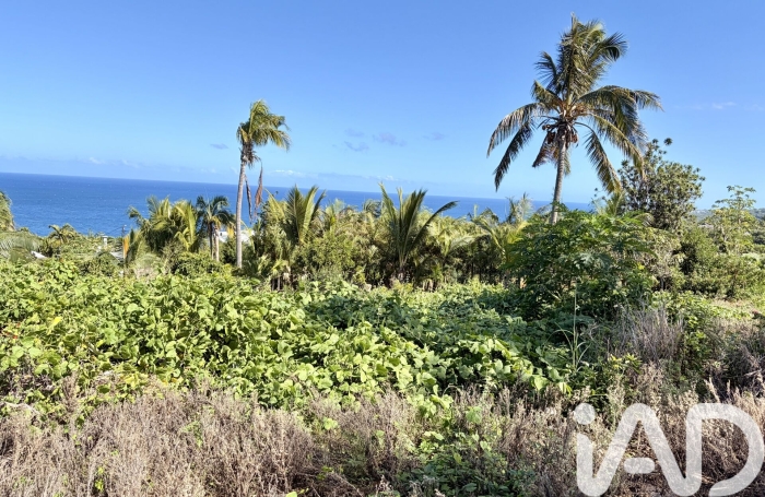 Vente Terrain 97429