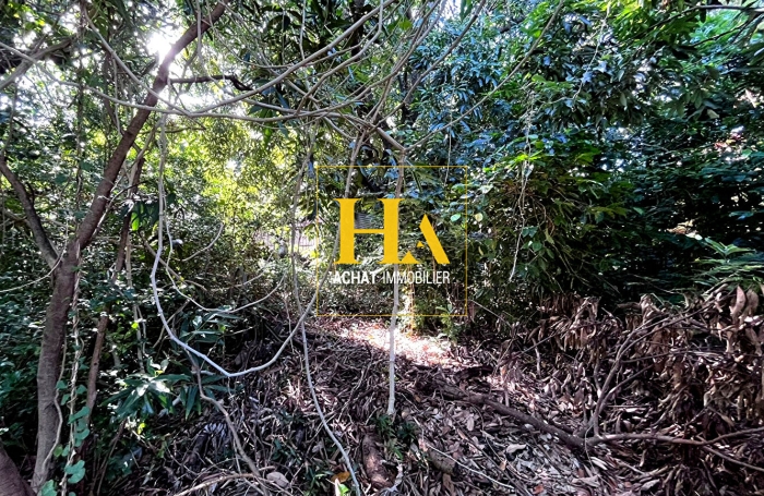 Vente Terrain 480m&sup2; Saint-Pierre