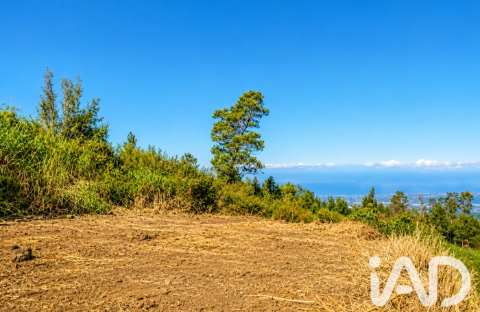 Vente Terrain 546m&sup2; Plaine des Cafres