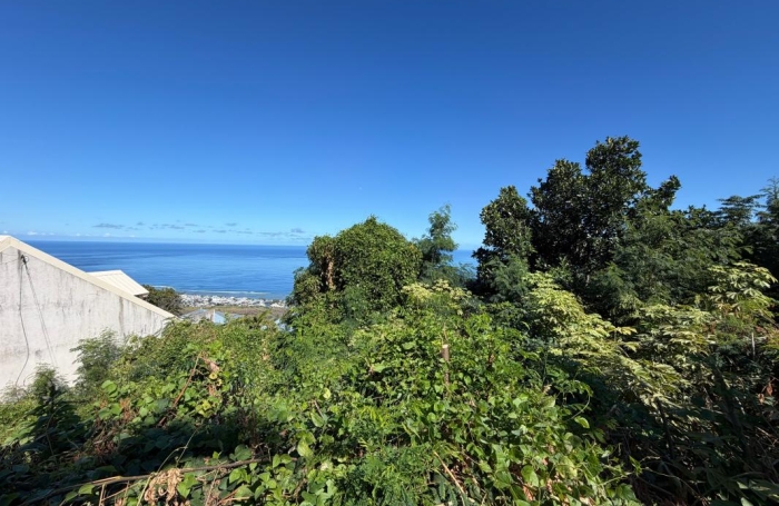 Vente Terrain 97436