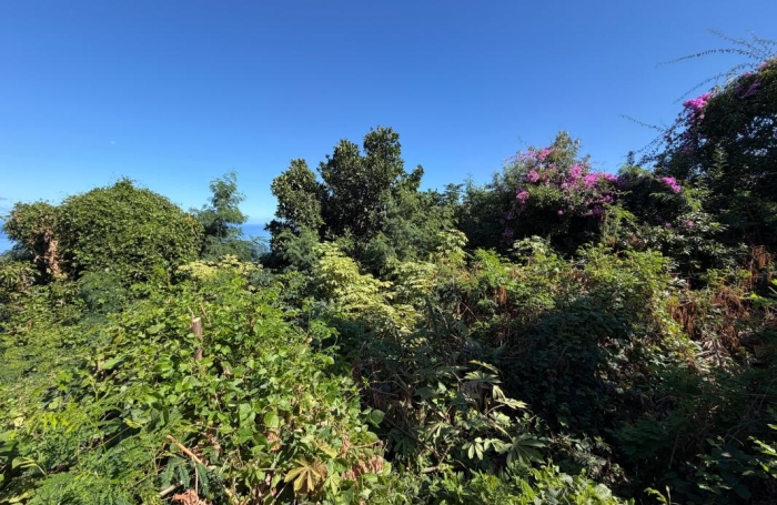 Vente Terrain 3234m&sup2; Saint-Leu