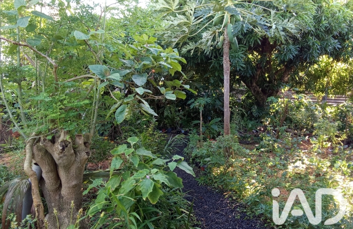 Vente Maison 185m&sup2; 4 pièces Saint Philippe
