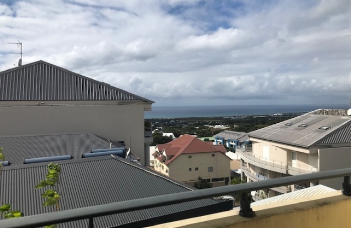 Vente Appartement 97400