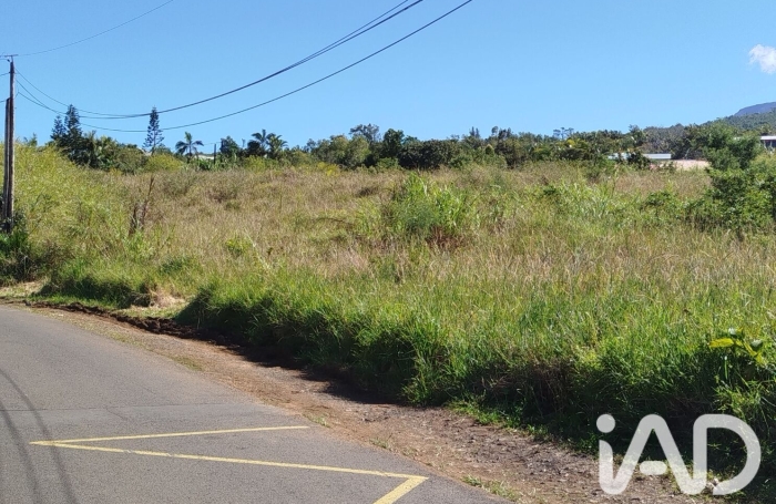 Vente Terrain 97480