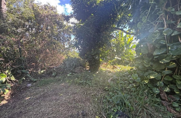 Vente Terrain 974m&sup2; La Montagne