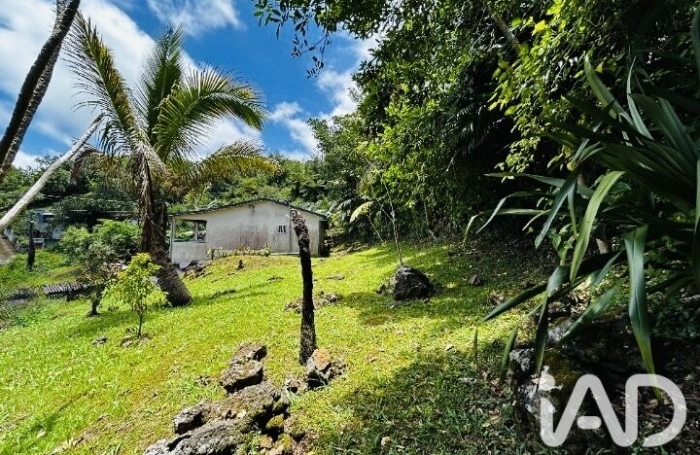 Vente Maison 100m&sup2; 4 pièces Petite &icirc;le