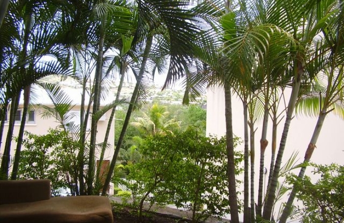 Location Appartement 40m&sup2; 1 pi&egrave;ce Saint Gilles les Bains