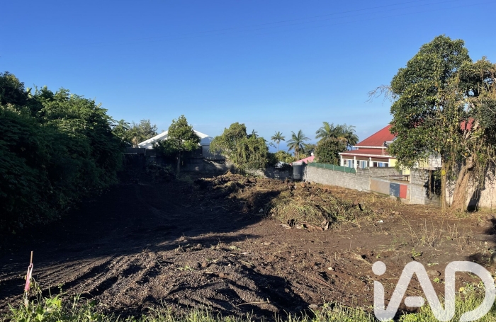 Vente Terrain 97430