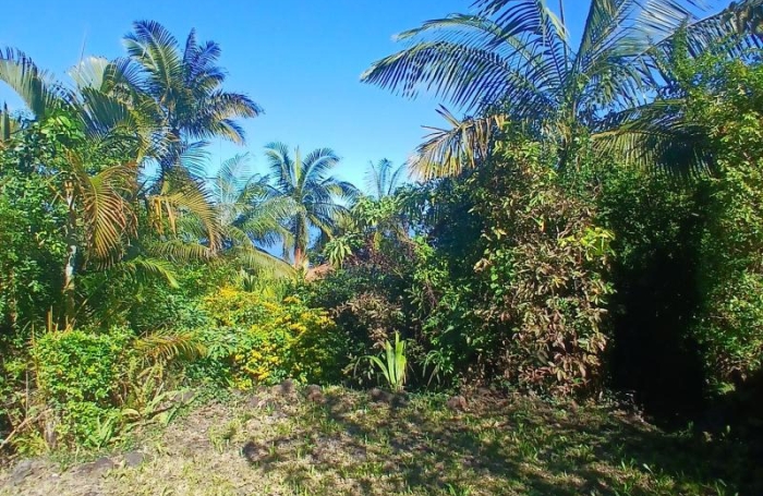Vente Maison 80m&sup2; 4 pièces Petite &icirc;le
