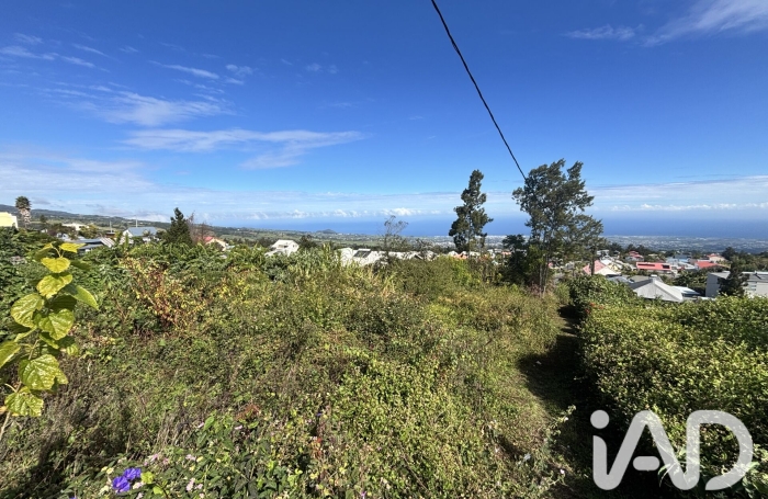Vente Terrain 2219m&sup2; Plaine des Cafres