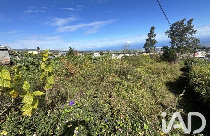 Vente Terrain 2219m&sup2; Plaine des Cafres
