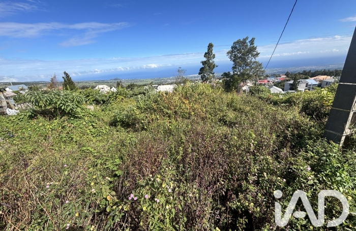 Vente Terrain 2219m&sup2; Plaine des Cafres