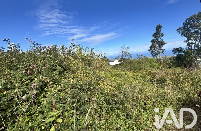 Vente Terrain 2219m&sup2; Plaine des Cafres