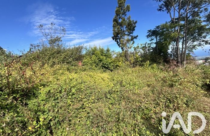 Vente Terrain 2219m&sup2; Plaine des Cafres
