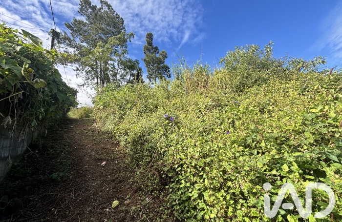 Vente Terrain 2219m&sup2; Plaine des Cafres