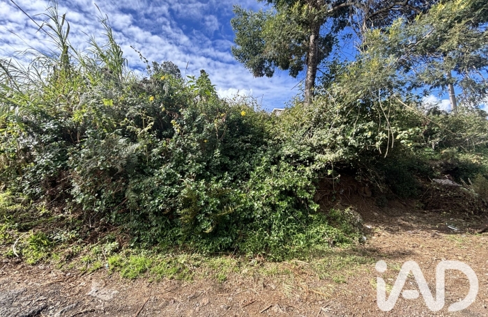 Vente Terrain 2219m&sup2; Plaine des Cafres