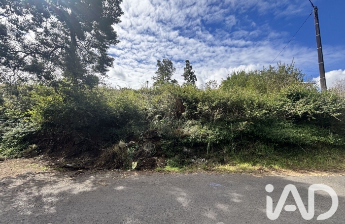 Vente Terrain 2219m&sup2; Plaine des Cafres