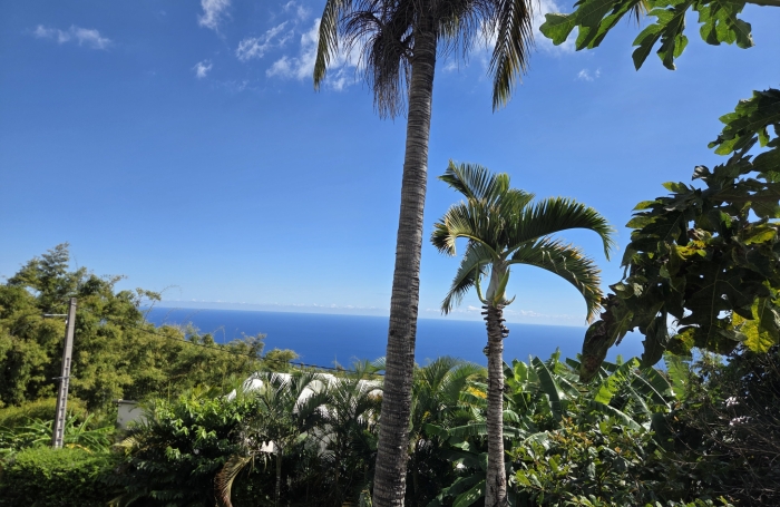 A vendre &agrave; La Montagne, villa cr&eacute;ole F4-5 + bungalow
