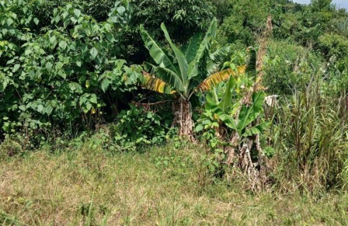 Vente Terrain Piton Saint Leu