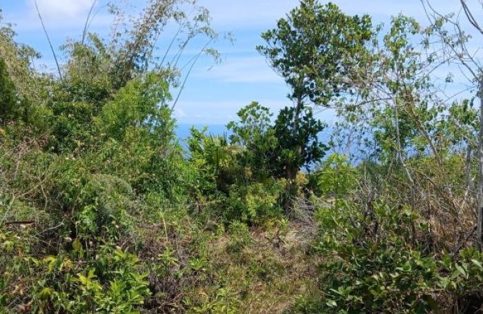 Vente Terrain Piton Saint Leu