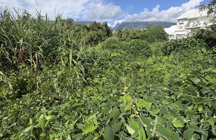 Vente Terrain 3600m&sup2; Sainte Marie