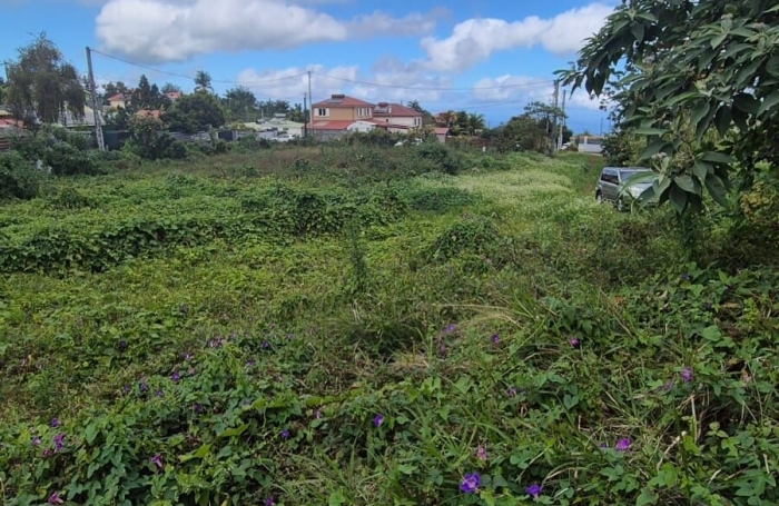 Vente Terrain 97430
