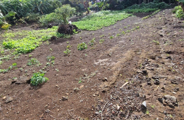 TERRAIN CONSTRUCTIBLE ET DIVISIBLE DE 762 M2 PETITE ILE 974 (ILE DE LA REUNION)
