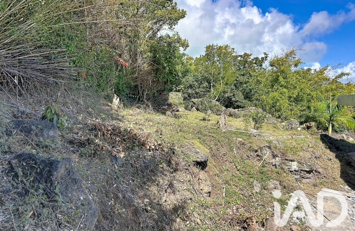 Vente Terrain 97400